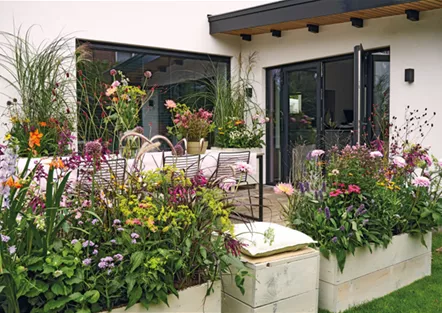 Berghausener Blumentopf Ihr Gartencenter aus Langenfeld