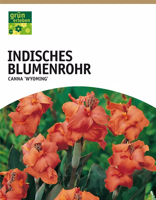 GE Canna Ind. rotl. Wyoming x1 InBlumenrohr orange