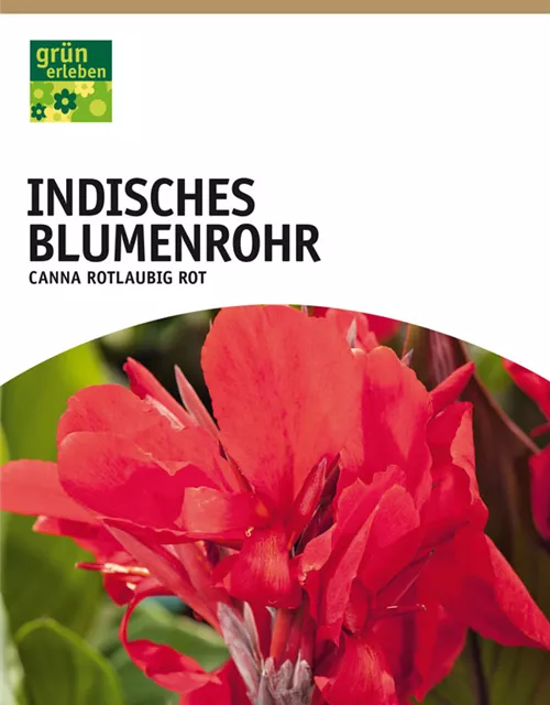 GE Canna Ind. rotl. rot x1 InBlumenrohr rot