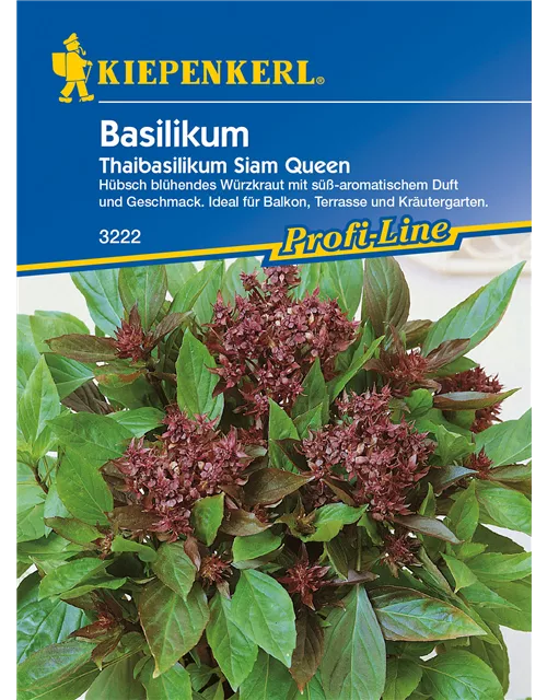 Basilikum Siam Queen G