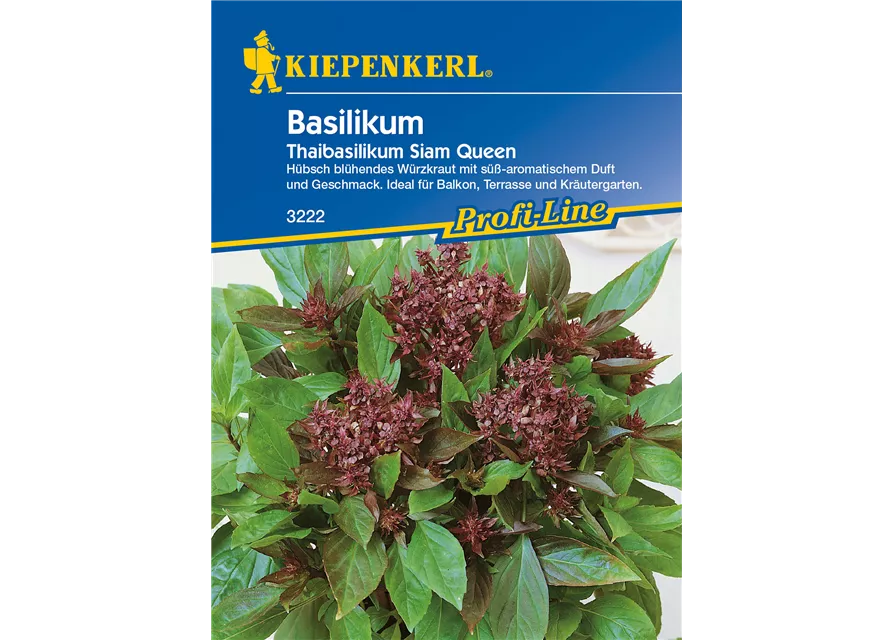 Basilikum Siam Queen G