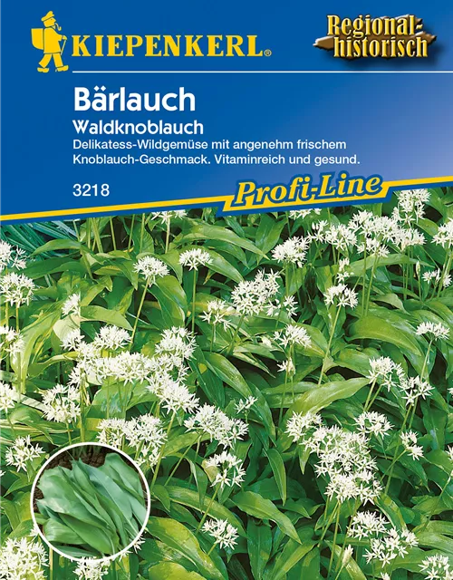 Bärlauch Allium Ursinum K