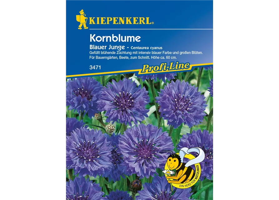 Centaurea Blauer Junge G
