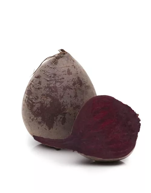 Beta vulgaris