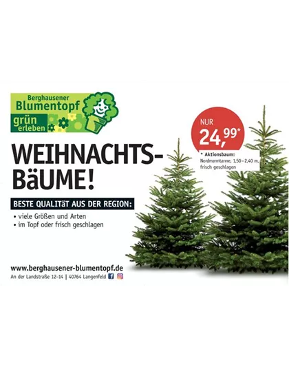 Weihnachtsbaum 140/180 Aktion