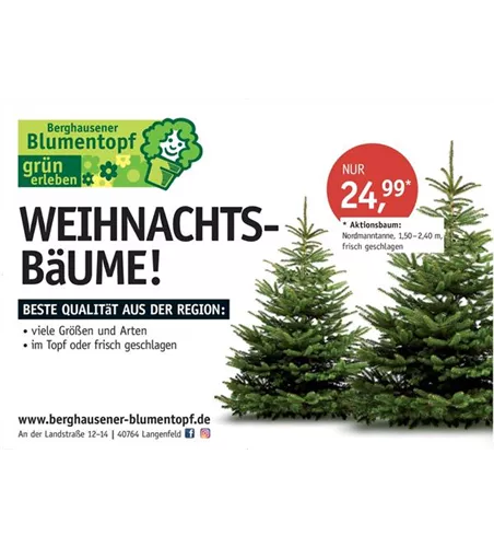 Weihnachtsbaum 140/180 Aktion