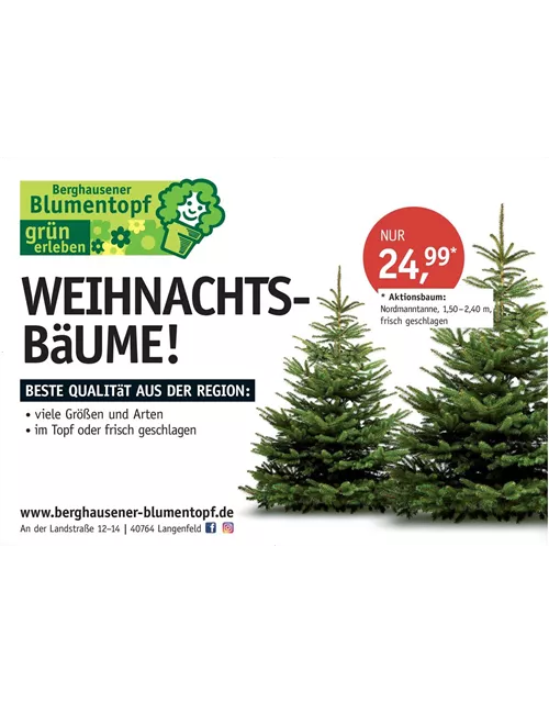 Weihnachtsbaum 140/180 Aktion