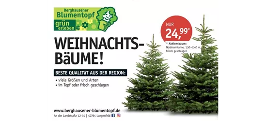 Weihnachtsbaum 140/180 Aktion