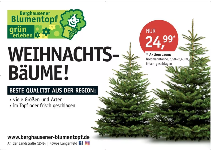 Weihnachtsbaum 140/180 Aktion