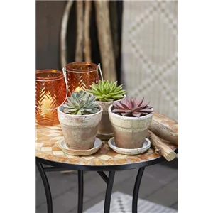 EINFACHER GEHT'S KAUM!