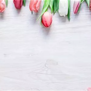 BLUMIGER VALENTINSTAG!