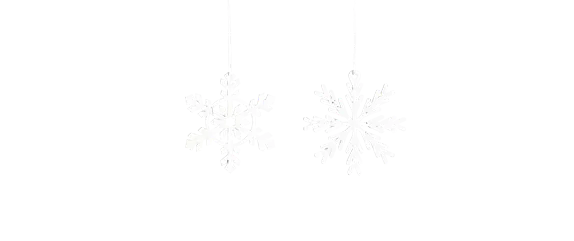 WEIHNACHTSBäUME EINMAL ANDERS!