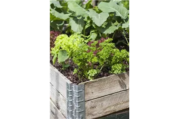 DAS DIY-HOCHBEET!