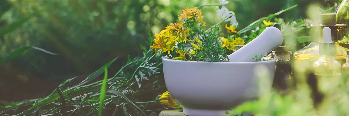 Buch des Monats: März!