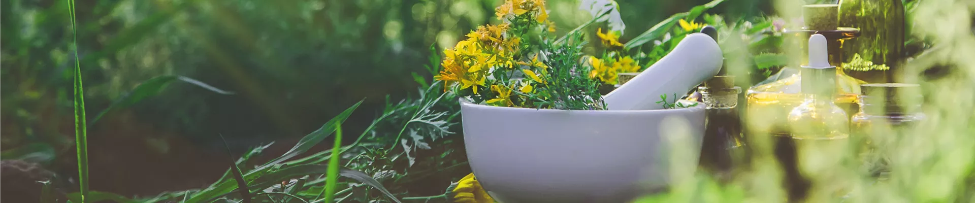 Buch des Monats: März!