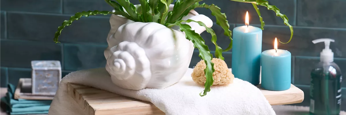 AUF EIN NATÜRLICHES OSTERFEST!