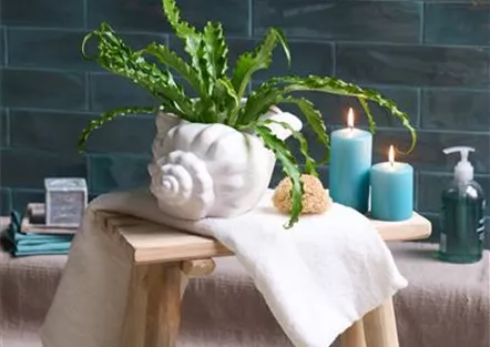 AUF EIN NATÜRLICHES OSTERFEST!