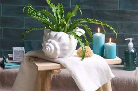 AUF EIN NATÜRLICHES OSTERFEST!