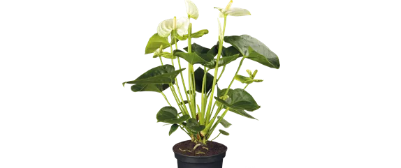 AUF EIN NATÜRLICHES OSTERFEST!