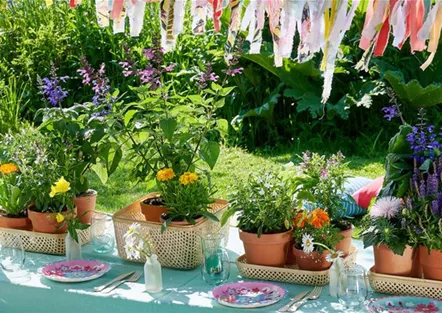 BUNTER SOMMER!