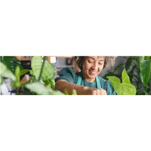 Buch des Monats: Dezember!