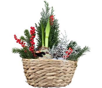 WEIHNACHTLICHE STIMMUNG IM GARTEN