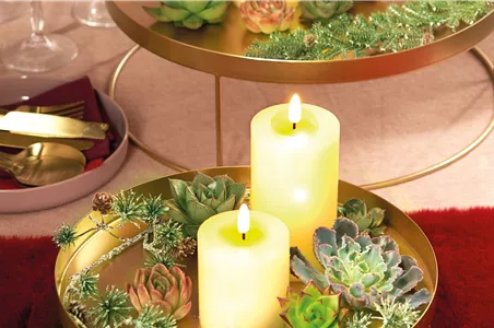 IM GLANZ DER ELEGANZ!