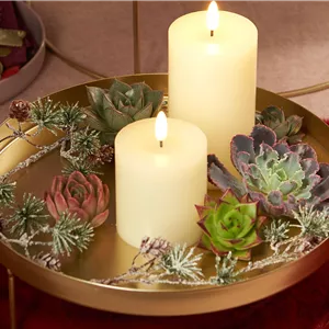 IM GLANZ DER ELEGANZ!