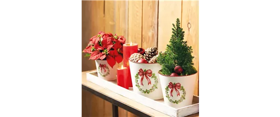 WEIHNACHTEN BEGINNT ZUHAUSE!