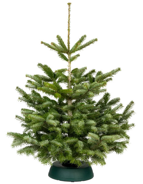 Nordmann Premium 100/125