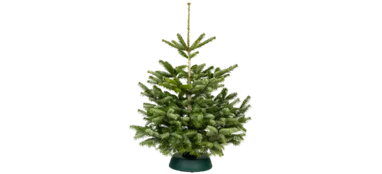 Nordmann Premium 100/125