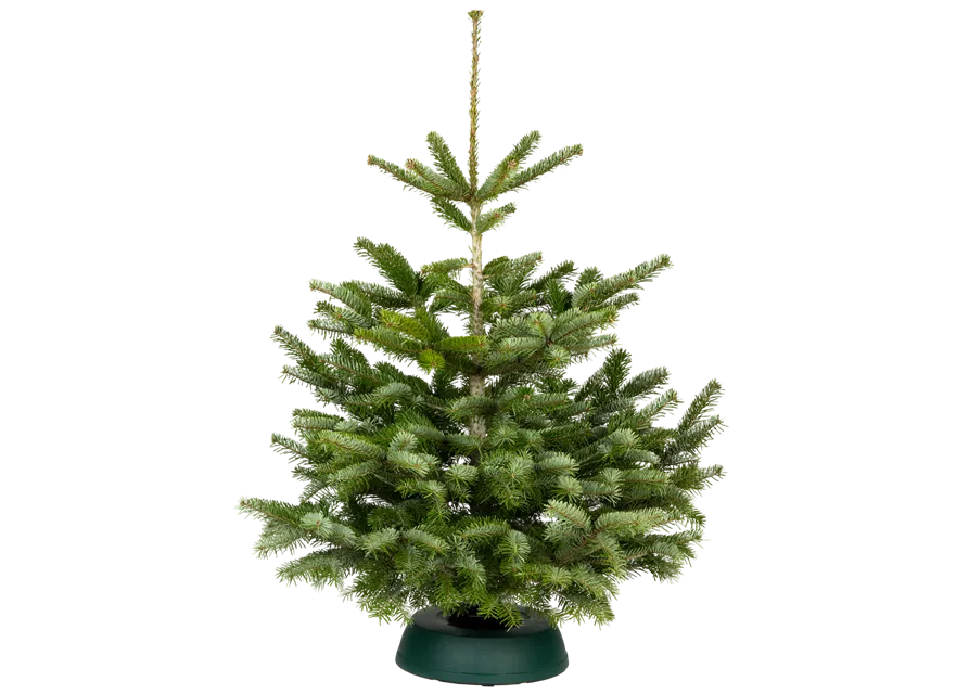 Nordmann Premium 100/125