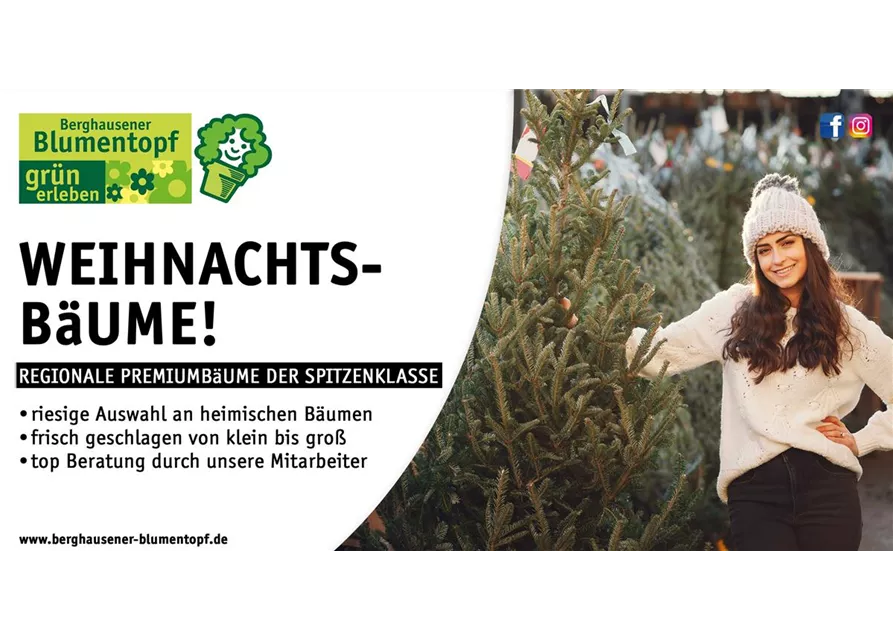 Weihnachtsbaum 140/180 Aktion