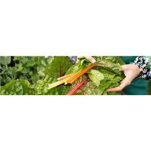 Buch des Monats: März!