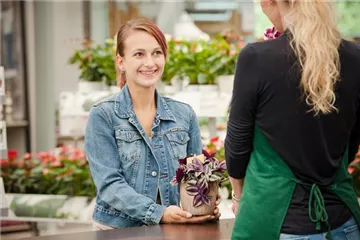 PFLANZEN VOR FROST SCHüTZEN